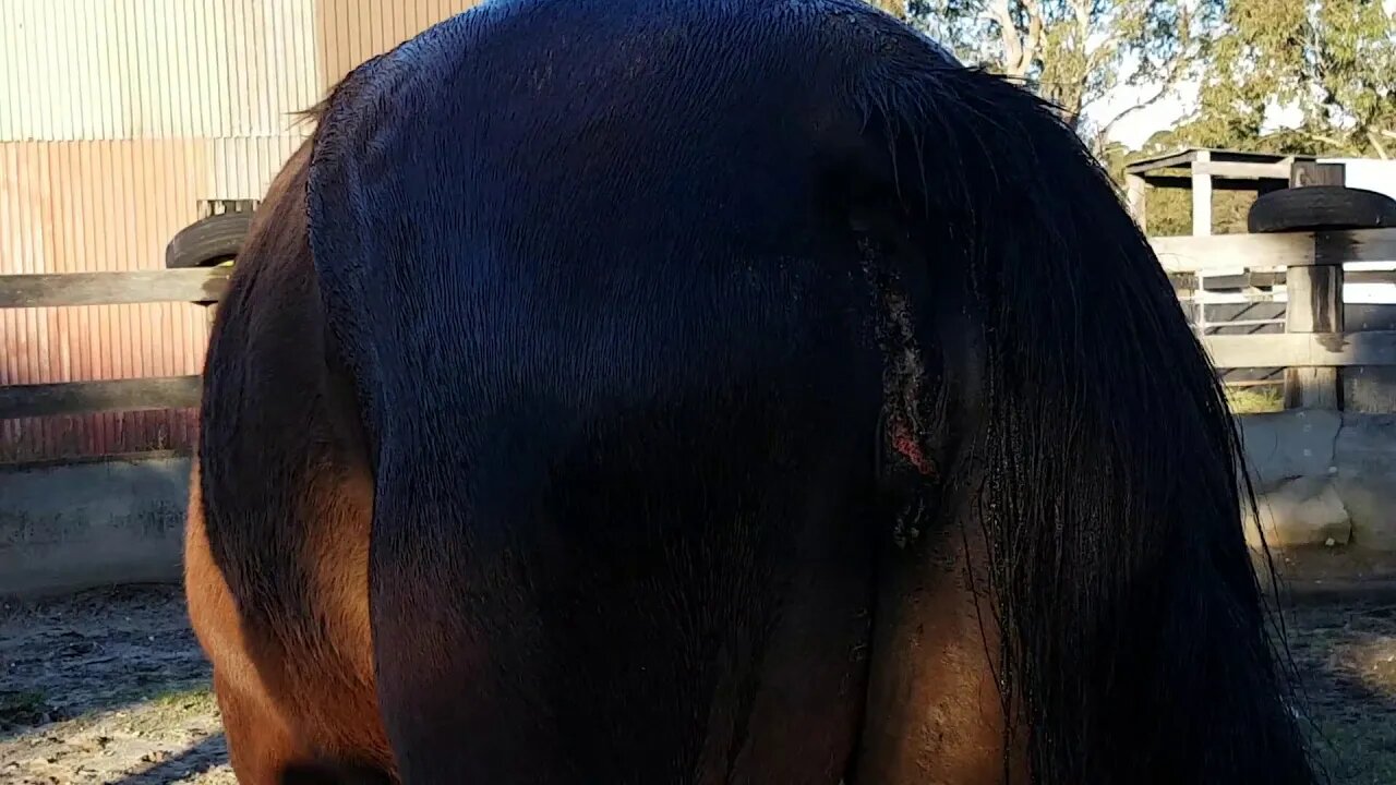 20180626_155502.mp4