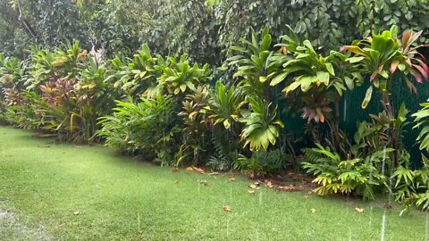 Rain sounds for sleeping & studying, one hour of Hawaii tropical rain sounds no thunder.