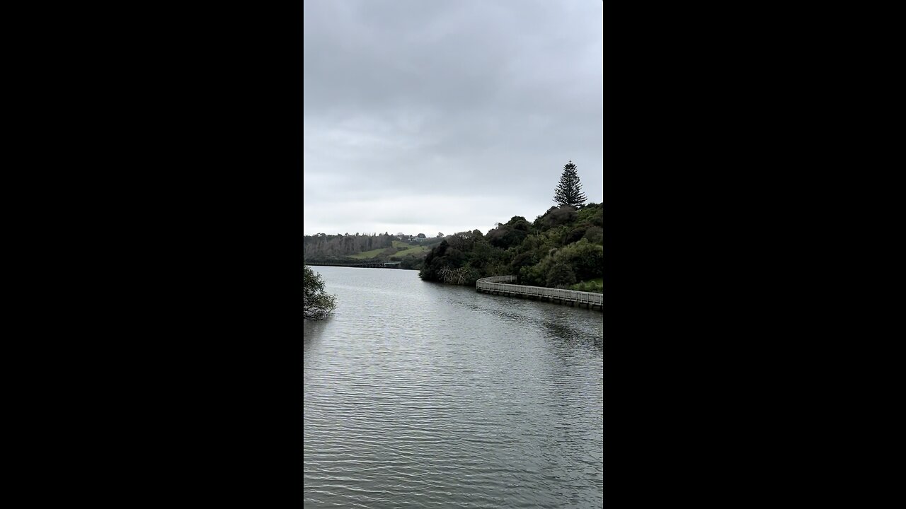 Orakei Basins | New Zealand | Auckland