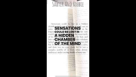 Hidden chambers of the mind in Sawyer and Robbie