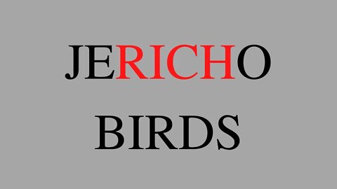 Jericho Long Island NY birds.