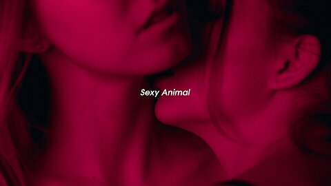 ELEMENTS - Sexy Animal (Official Lyrics Video)