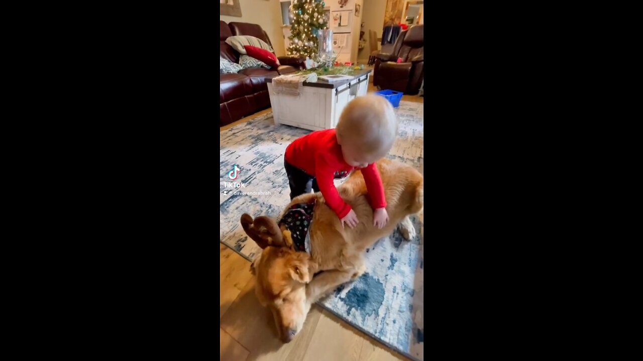 Baby Cuddles with Golden Retriever