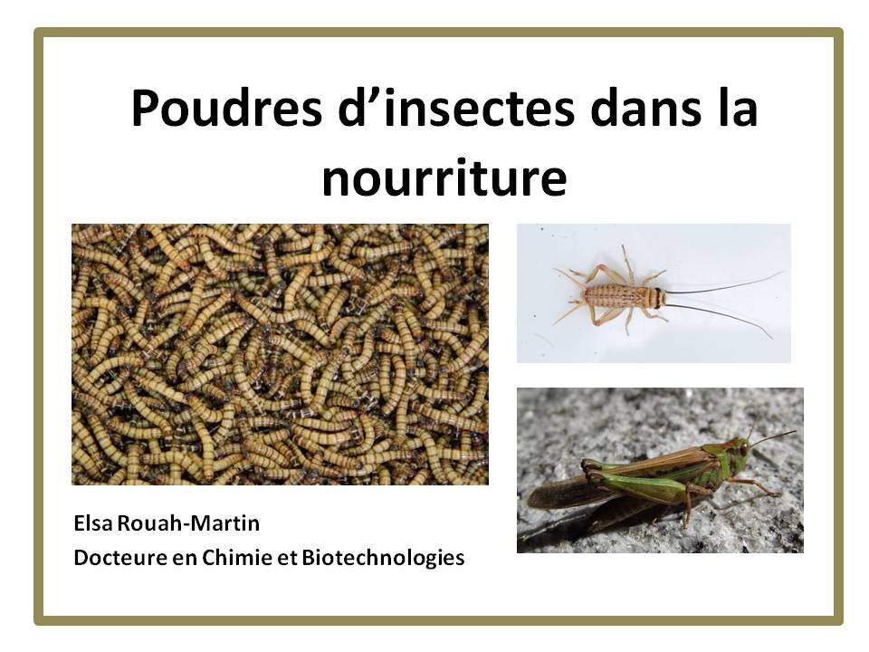 Poudres d'insectes autorisées dans la nourriture en UE depuis 2023