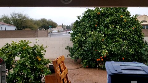 Unnatural Rainfall for the Desert, 1 Hour Before Unnatural Snowfall 2024.02.10/5999.11.10@08:53(MST)