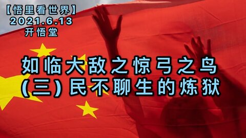 KWT1926民不聊生的炼狱——如临大敌之惊弓之鸟(三)20210613-5【悟里看世界】