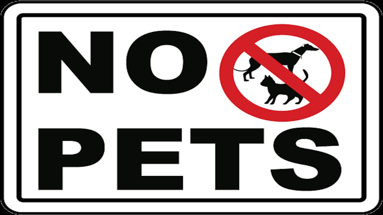 Why you should NEVER own a Pet Animal