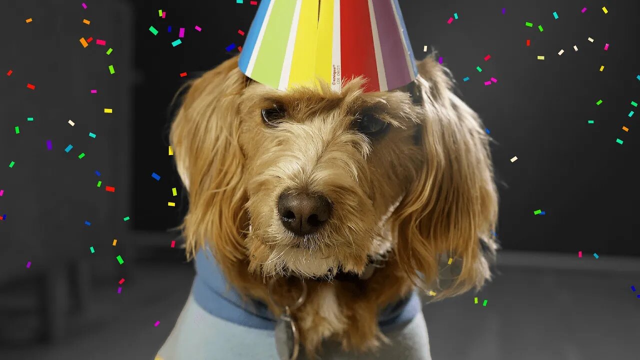 Turning 1 is Ruff