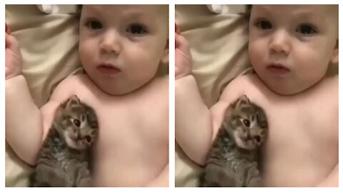 watch the sweetest relation between kitten and baby in the world