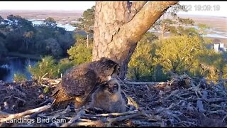 Sunday Dinner With Mom Continues 🦉 3/27/22 19:07