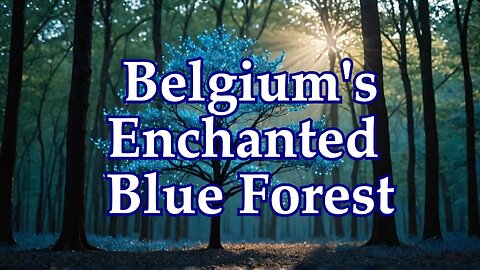 Science of Hallerbos Blue Forest, Belgium!