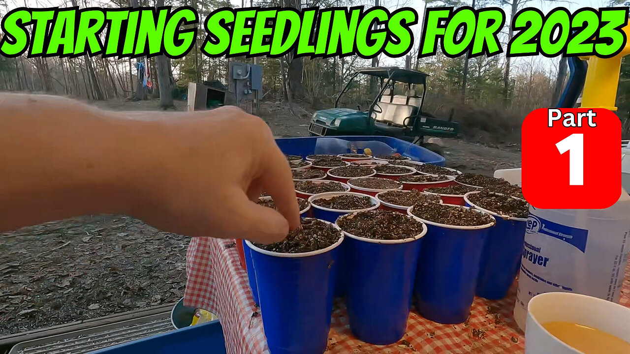 Starting Seedlings For 2023 Pt.1