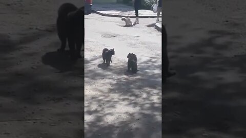 What a way to escalate a fight