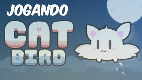 CAT BIRD - jogando com meu gato/pássaro