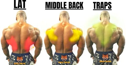 TOP 6 BACK WORKOUTS TO GET HUGE BACK QUICKLY #gym #fitness #motivation #fitfam #gymmotivation