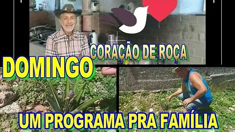 CORAÇÃO DE ROÇA, DOMINGO, UM PROGRAMA PRA FAMÍLIA.