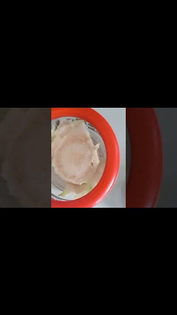 So I'm also experimenting with regrowing cabbage