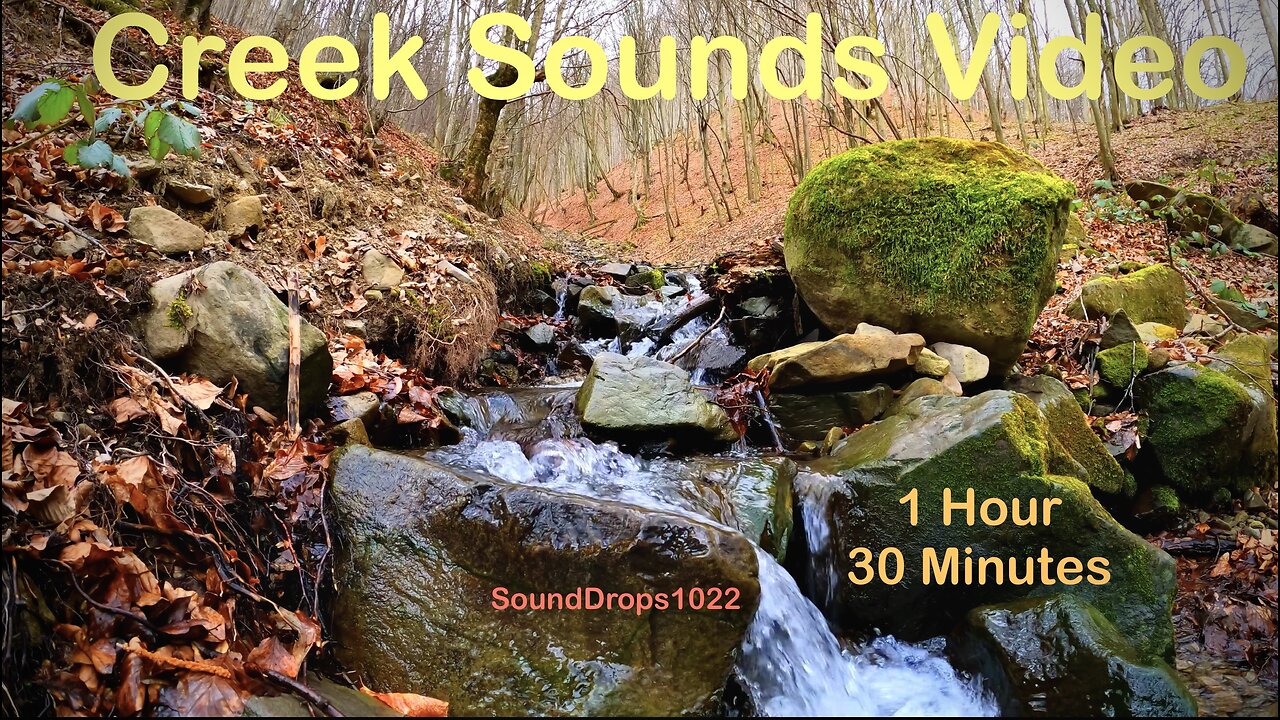 1 Hour 30 Minutes of Fall Creek Meditation