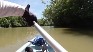 Stillwater River from Covington to Fenner Rd.