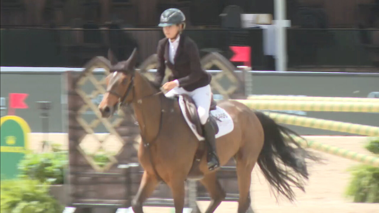 Wellington set to wrap up record-breaking equestrian season