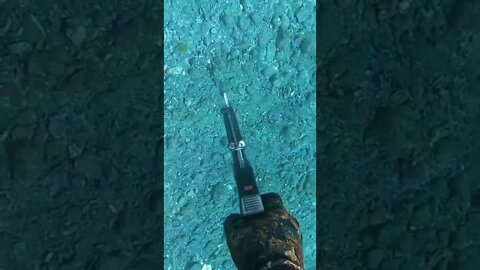 #shorts #2022 funny,prank,funjokes,dad jokes,funny memes,funny video,fun,laughing,funny animal,knock