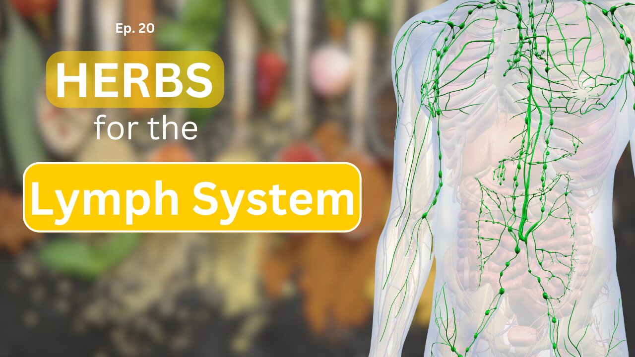 Ep. 20 Herbs for the Lymphatic System