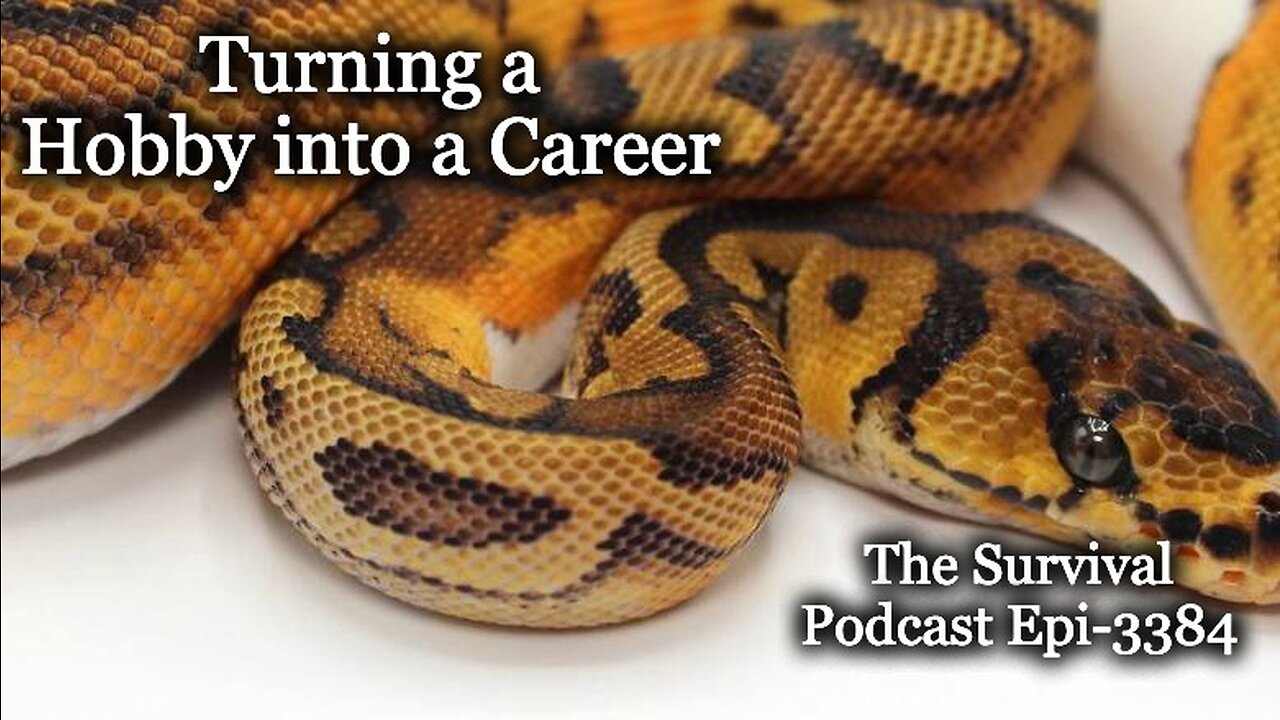 Turning a Hobby into a Career - Epi-3384