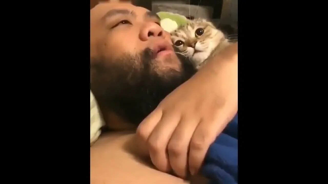 😂🐈😂. . .