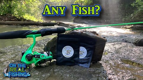Fishing with Creek Life Lures at Apocalypse Creek