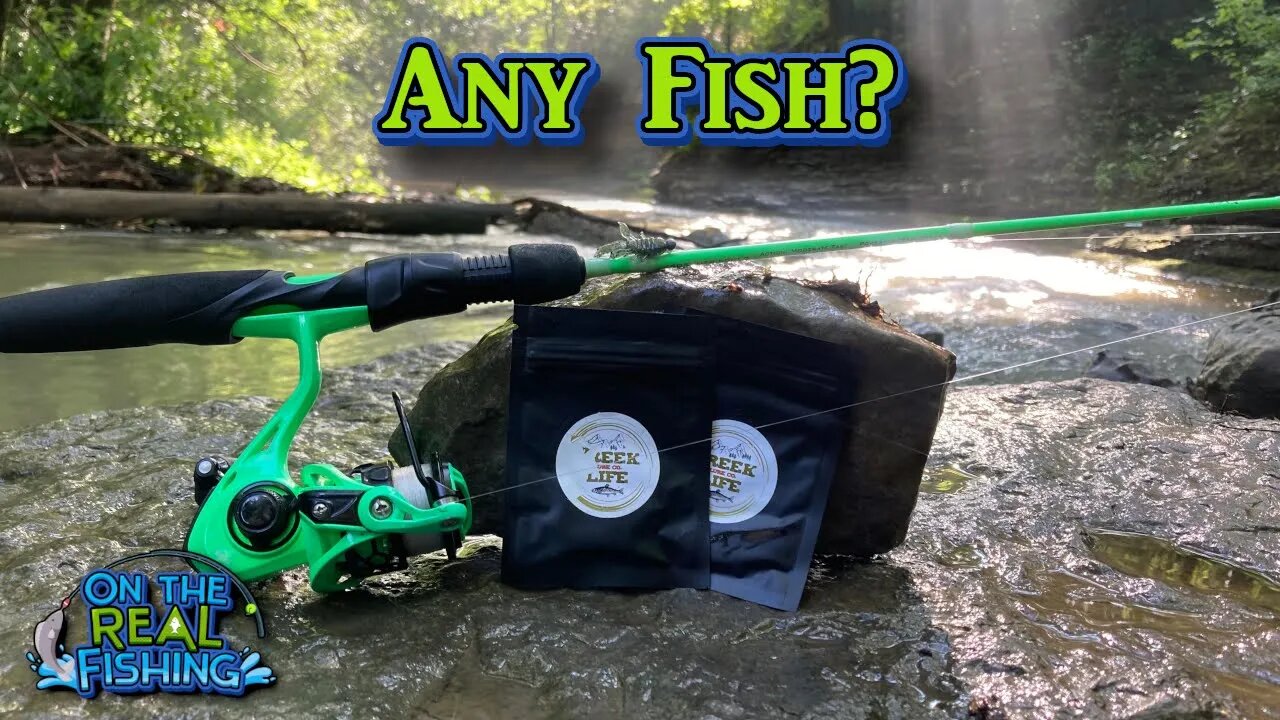 Fishing with Creek Life Lures at Apocalypse Creek
