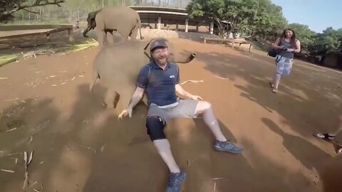 try not to laugh#shorts