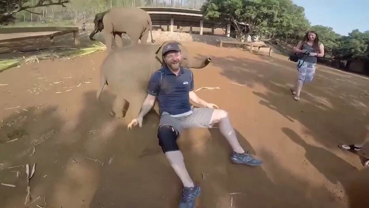 try not to laugh#shorts
