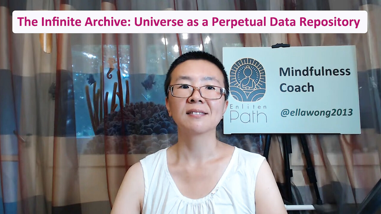 The Infinite Archive: Universe as a Perpetual Data Repository