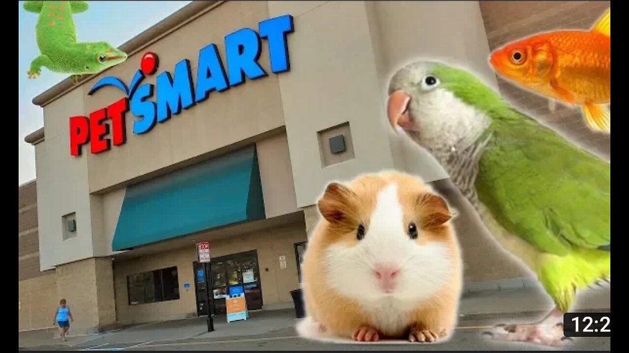 EXPLORING PETSMART ! ANIMAL FRIENDS EVERYWHERE!