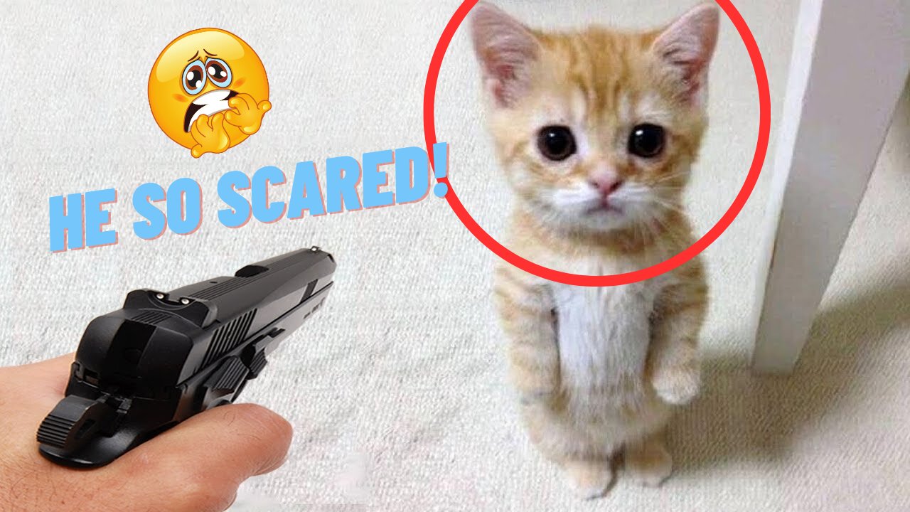 Must Watch Funniest Animals 2023 π Make Me CRazy πΊπΆ