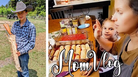 Mom Vlog ~ Easy Simple Dinner ~ Buddy's creations