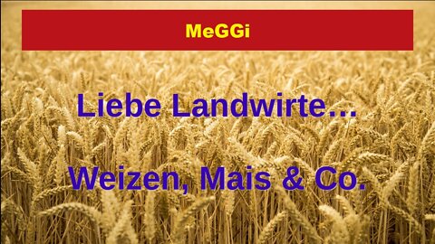 MeGGi - Liebe Landwirte - Weizen Mais & Co