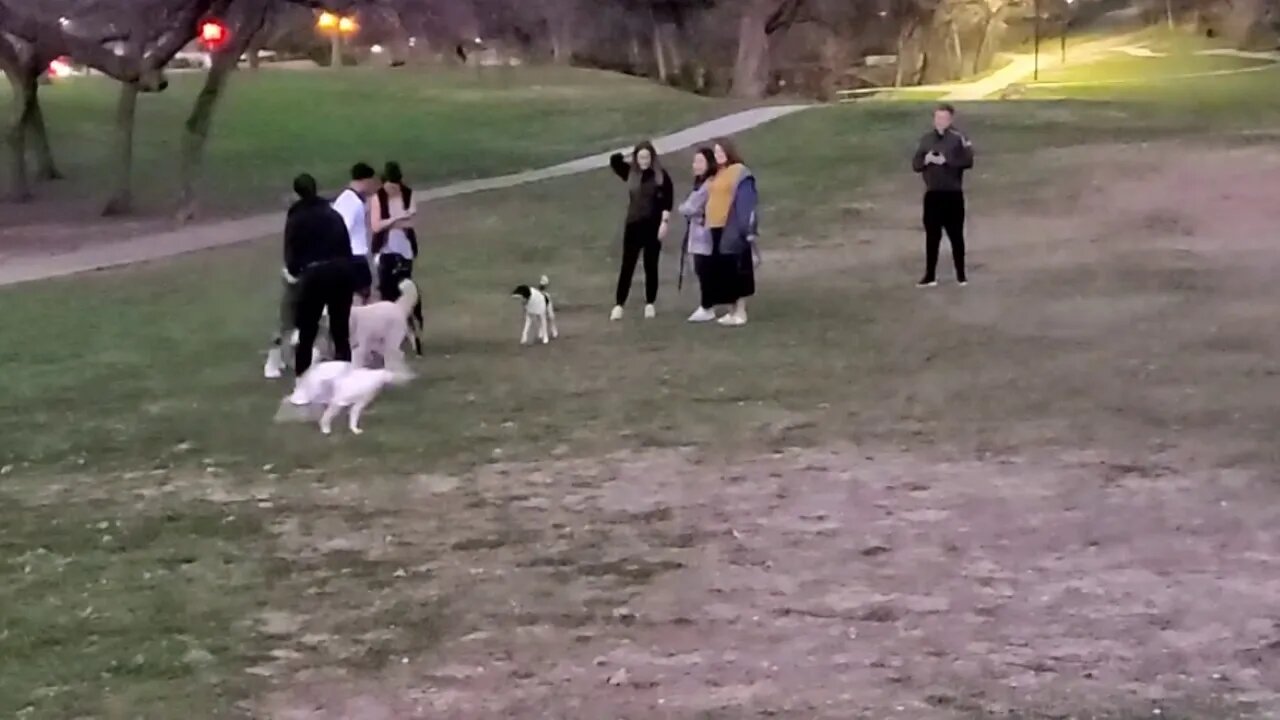 2/24/2020 - Playing in the Park w Max