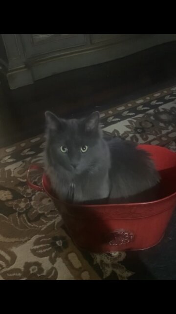 What you doing in there?