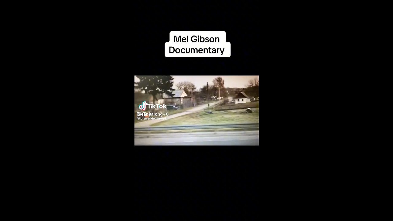 Mel Gibson documentary