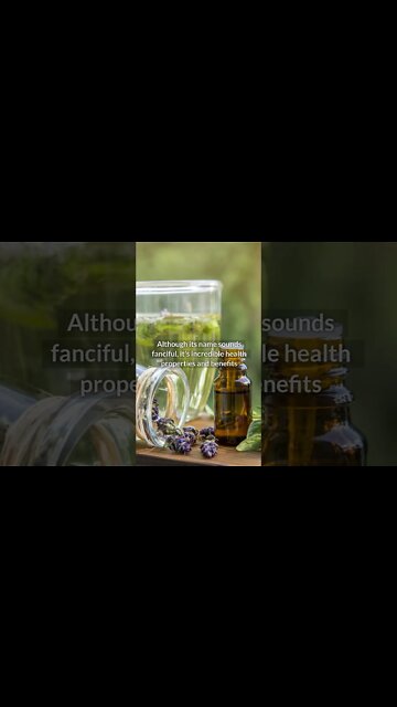 "Heal-All Plant": A Tea That Promotes True Healing in the Body #shorts