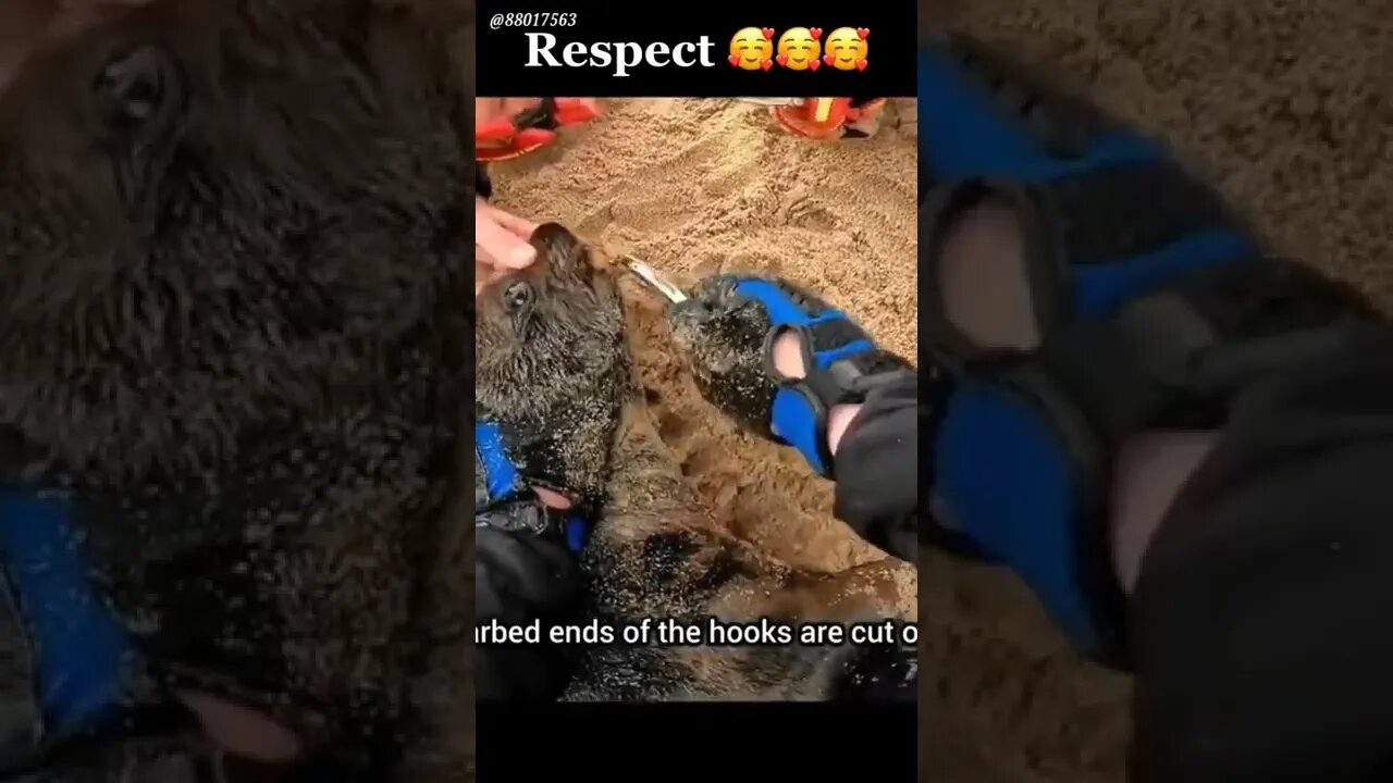 #respect #shorts