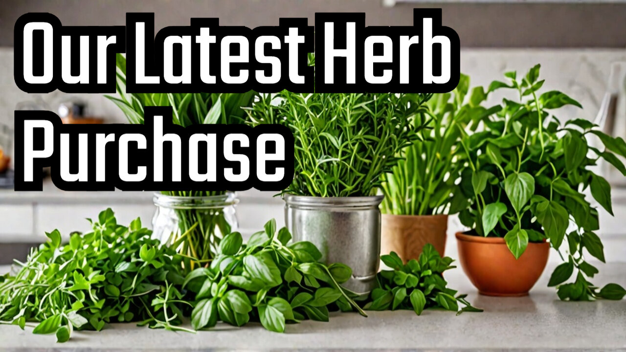 My Husband's OBSESSED with Homegrown Herbalist's: Latest Herb Haul!