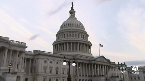 Federal lawmakers representing KC area offer solutions to prevent another school shooting