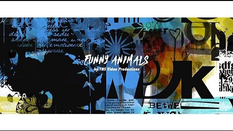 Cute_and_funny_animal