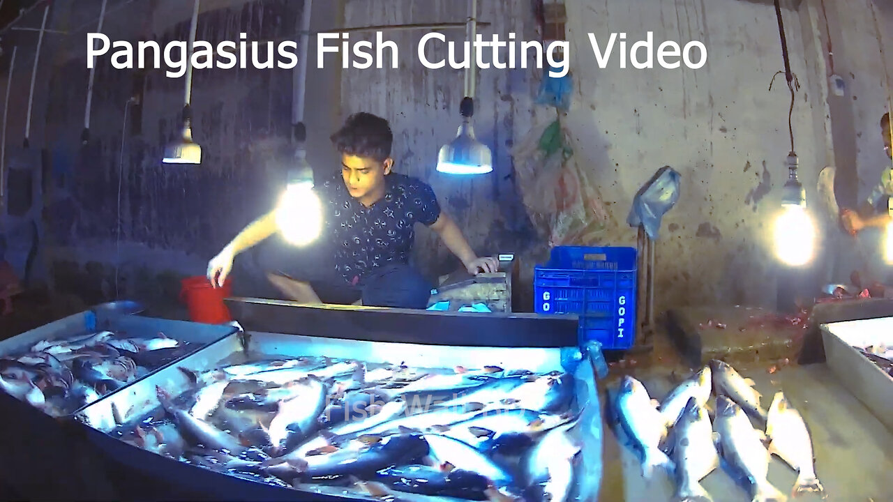 Pangasius Fish Cutting Skills Fish Cutting Market-Fish Cutting Video-Fish Wall BD