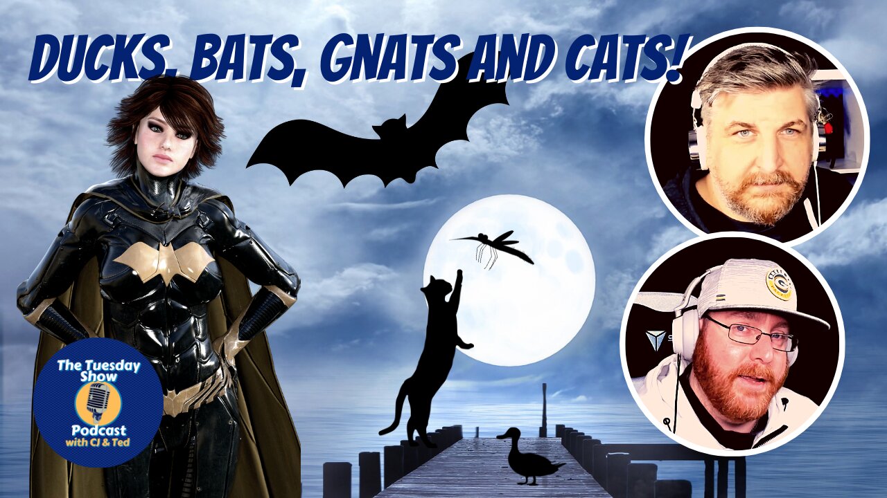 #67: Ducks, Bats, Gnats and Cats!