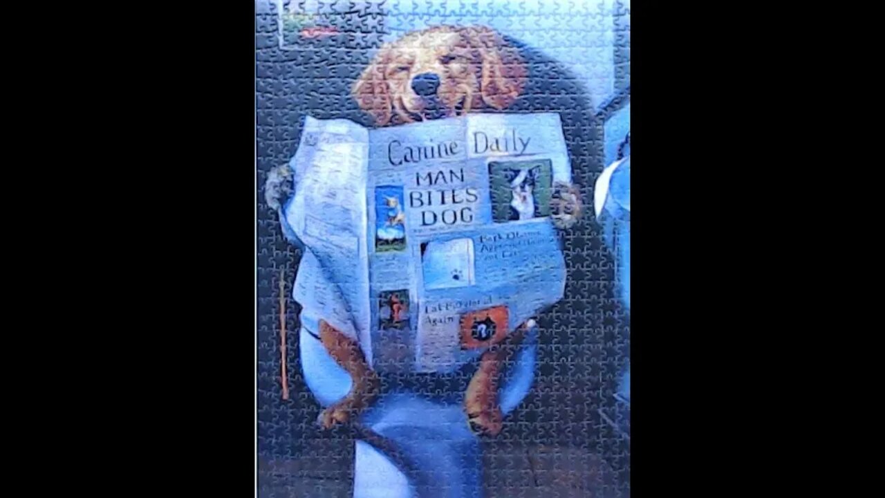 Dog Gone Funny Jigsaw Puzzle Time Lapse