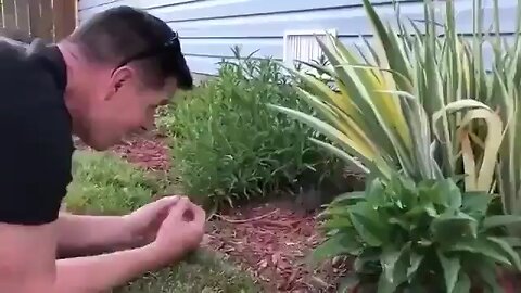 A guy training baby bunnies.