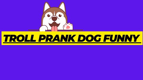 Troll Prank Dog Funny & fake Lion and Fake Tiger Prank To dog & Huge Box Prank to dog
